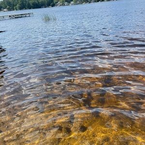 Meet your Posher, Juliana